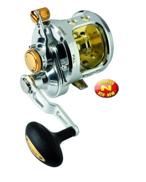 Black Cat - img170355586677011.jpeg